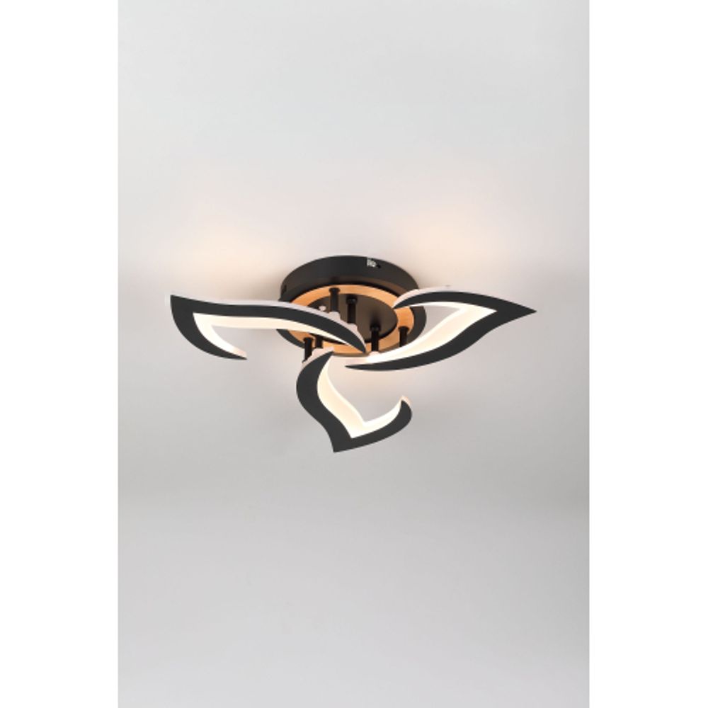Светильник потолочный светодиодный Rivoli Cassandra 6194-703 LED 3000-6250К 42 Вт с пультом | Интерьерные светодиодные светильники