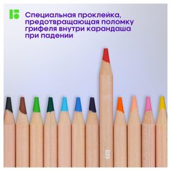Карандаши цветные Berlingo "SuperSoft. Pro" 12цв., круглые, заточен., картон, европодвес
