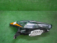 DSCN7923.JPG
