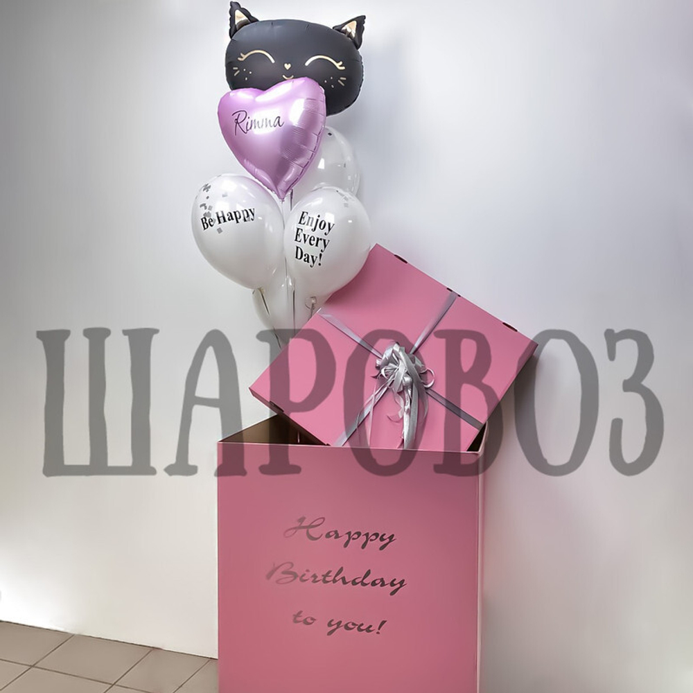 Коробка с шарами с кошечкой