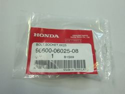 96600-06025-08. BOLT, SOCKET, 6X25