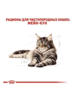 ROYAL CANIN MAINE COON Adult (Роял Канин Мейкун эдалт) корм сухой для кошек Maine Coon 10 кг.