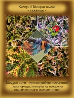 Колеус Пёстрая шаль вегетативный