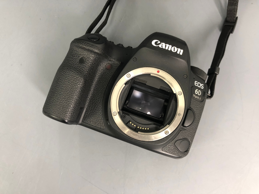 Canon EOS 6D Mark II 96.200 кадров