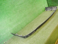 DSCN5635.jpg