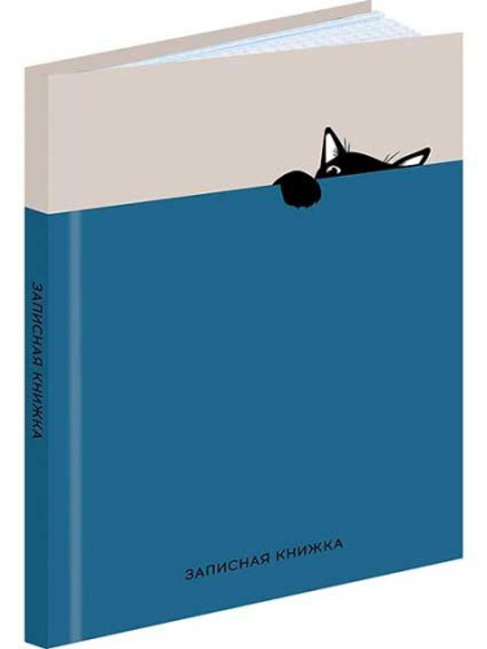 Записная книжка Забавный черный Кот 80-9405