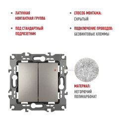 Переключатель ЭРА Серия 12 12-1106-16 двойной, 10АХ-250В, титан | Эра 12