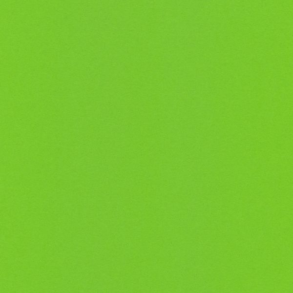 Бумага цветная 120 г/м², A4 21х29.7 см, 50 шт, 26 зеленый травяной/green grass, Vista-Artista MPO-A4