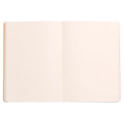 Записная книжка Rhodiarama в мягкой обложке A5 (117458C) 2