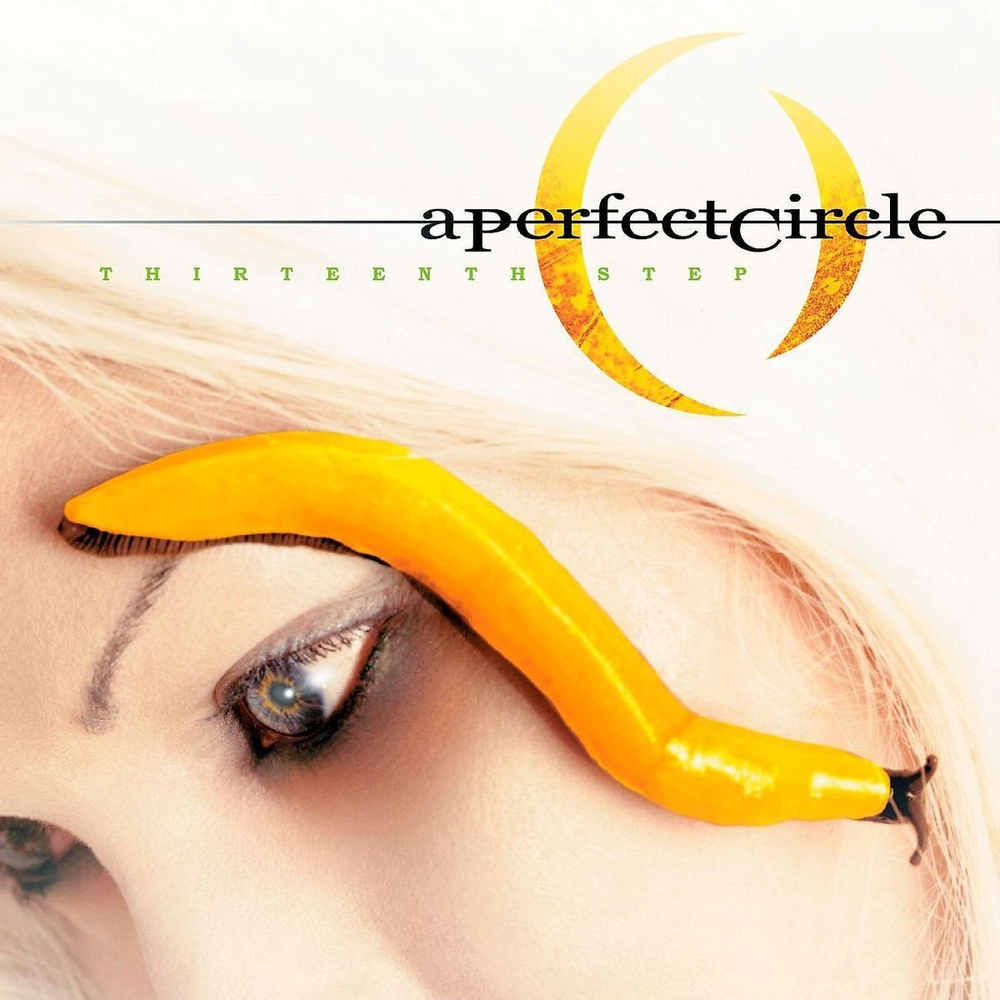 A Perfect Circle	Thirteenth Step
