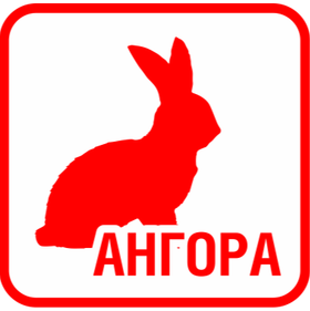 АНГОРА