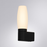 Подсветка для зеркал Arte Lamp AQUA-BASTONE A1209AP-1BK