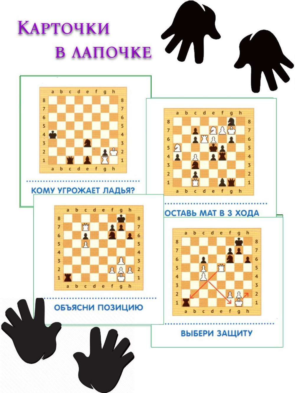 Карточки в лапочке. Финансы (33 карточки с заданием на обороте)