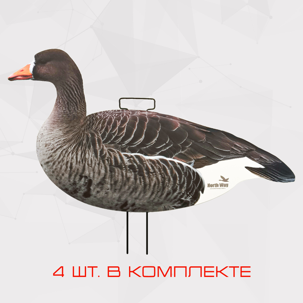 Профиля белолобого гуся North Way