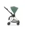 Прогулочная коляска Cybex Mios Leaf Green Rosegold
