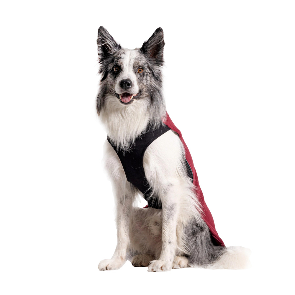 Флисовая кофта DOGLEA СПОРТ КОМФОРТ