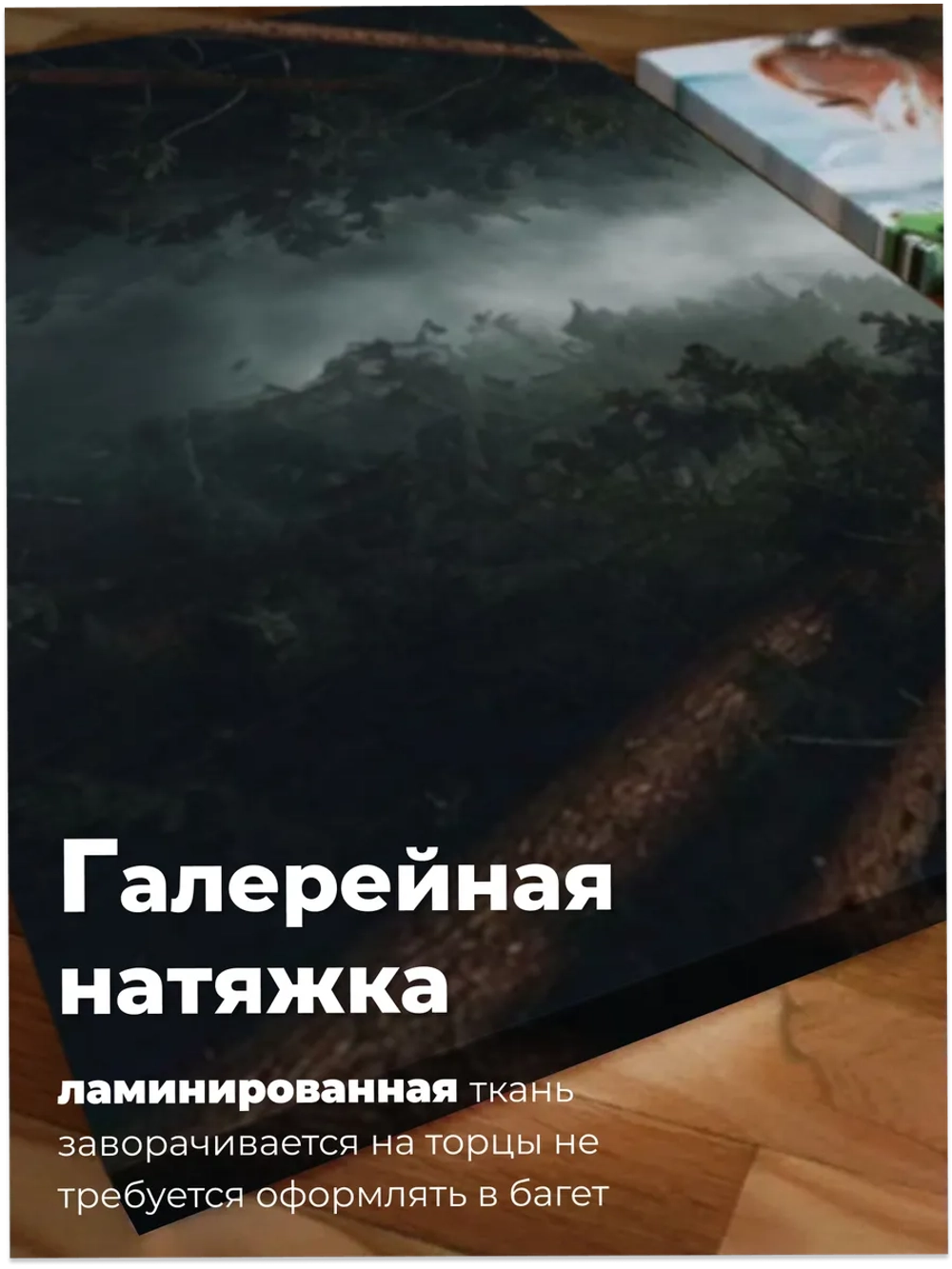 Картина Одинокий сокол над лесом модульная 50x70см 3шт.