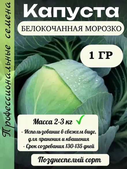 Семена капуста белокочанная Морозко 1 гр