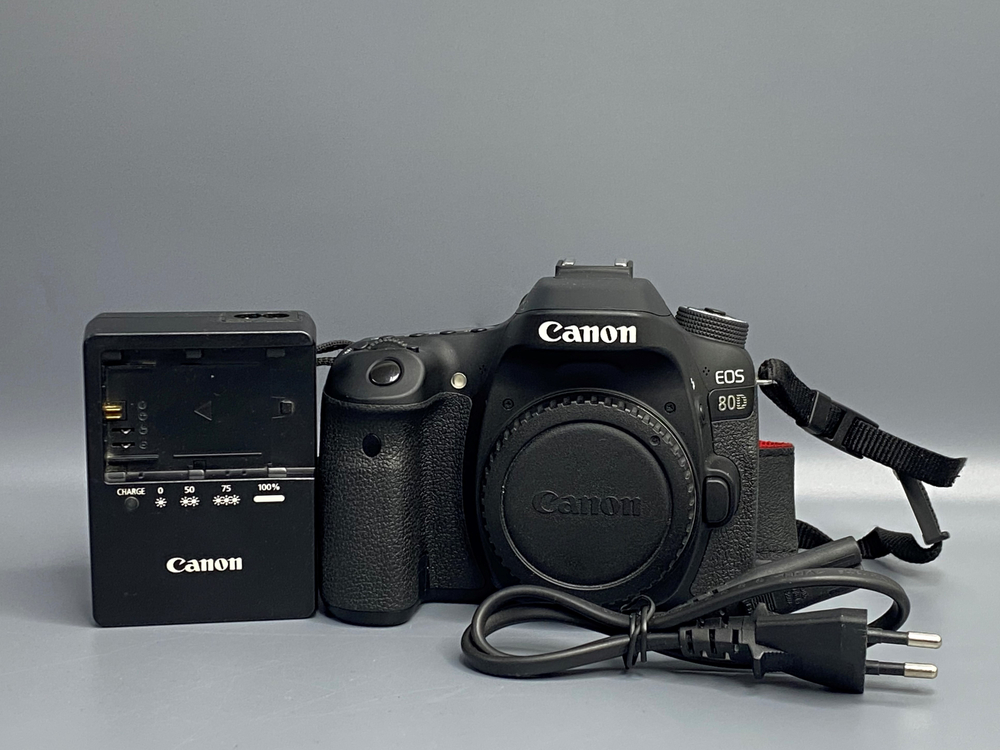 Canon EOS 80D — 9 100 кадров