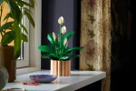 Конструктор LEGO Botanical Collection 11504 Peace Lily