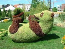 Топиарная фигура Панда