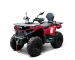 Квадрицикл Bizon YK250 LUX EFI ПТС