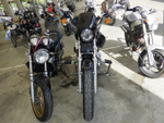 Harley-Davidson Sportster XL1200L 2008