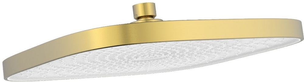 Душевая лейка 260*260*60mm Bravat, матовое золото (D1250RBG-ENG)