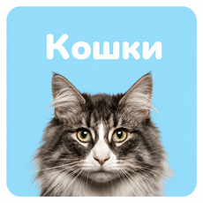 Кошки