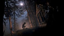 Outlast 2  PS4 | PS5