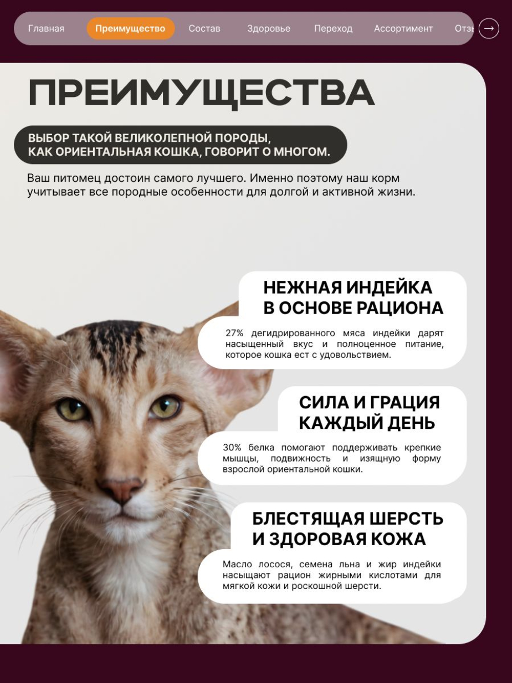 Корм сухой для кошек породы Ориентальная кошка, с индейкой, 5 кг, QUATTRO