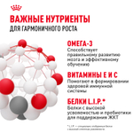 Royal Canin Mini Puppy Мини Паппи Корм сухой для щенков мелких пород в возрасте до 10 месяцев 800 г