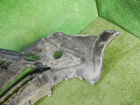 DSCN6813.jpg