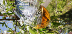 Бокал Glencairn Copita Desstill