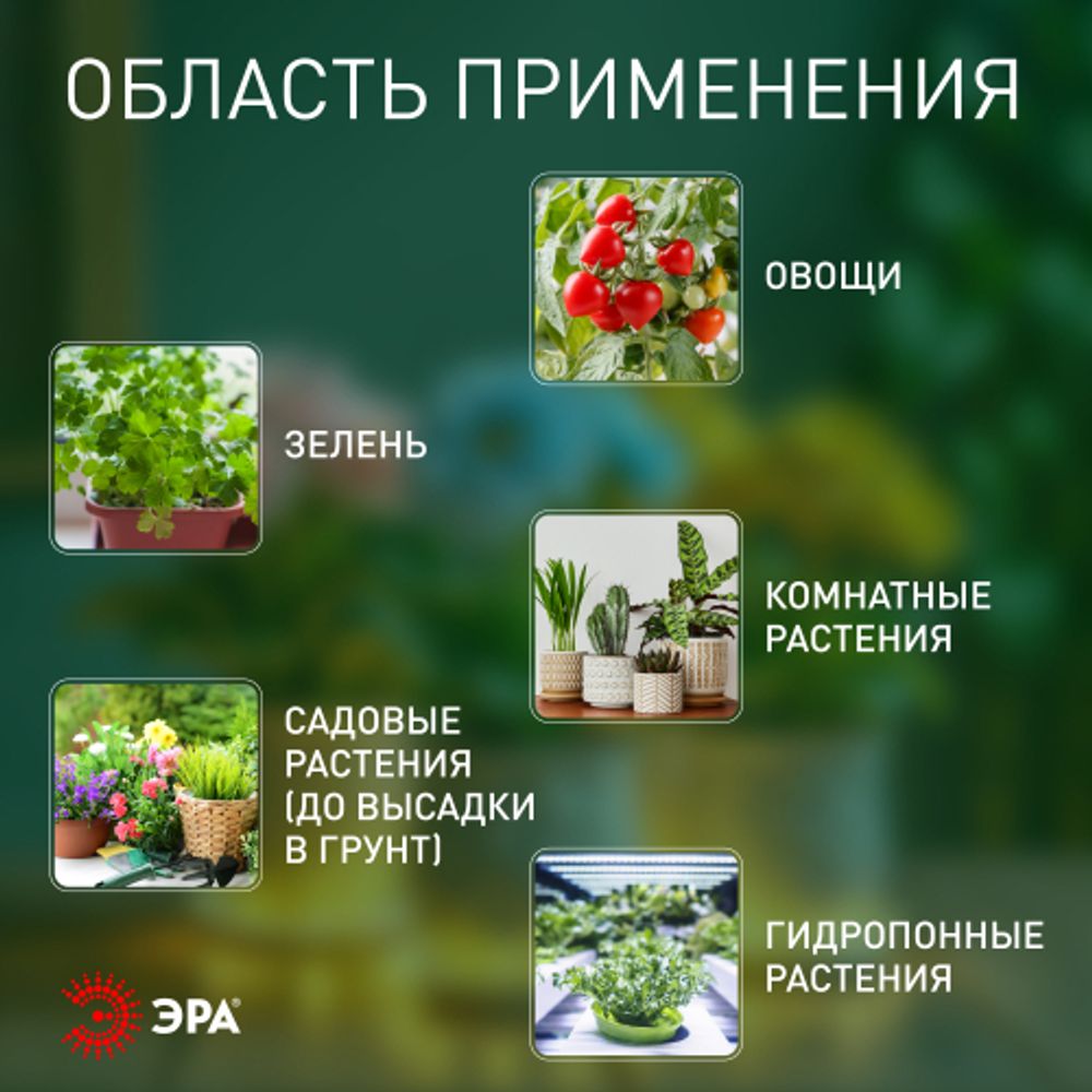 Светильник для растений фитолампа светодиодная линейная ЭРА GREEN LINE FITO-10W-Т5-PFR-Slim-GR полного спектра 10 Вт | Линейные фито светильники
