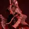 The Hunter - Bloodborne