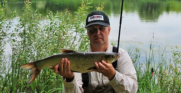 Сюрпризы «Шумовой Каролины» от Smart Baits Studio. Сюрпризы «Шумовой Каролины» от Smart Baits Studio.