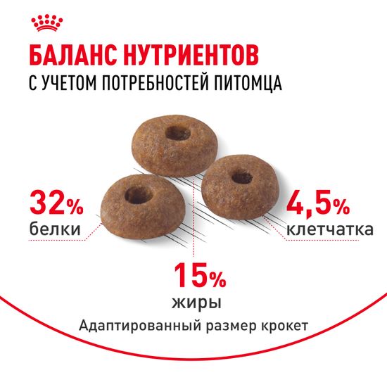 Royal Canin Fit для взрослых кошек и котов, имеющих доступ на улицу