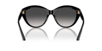 Солнцезащитные очки JC5007 Jimmy Choo - черный(JC5007)