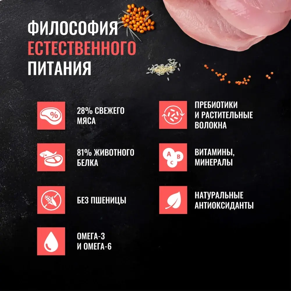 ОДНО МЯСО Сухой корм для взрослых собак малых пород с индейкой