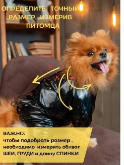 Комбинезон для мелких и средних собак