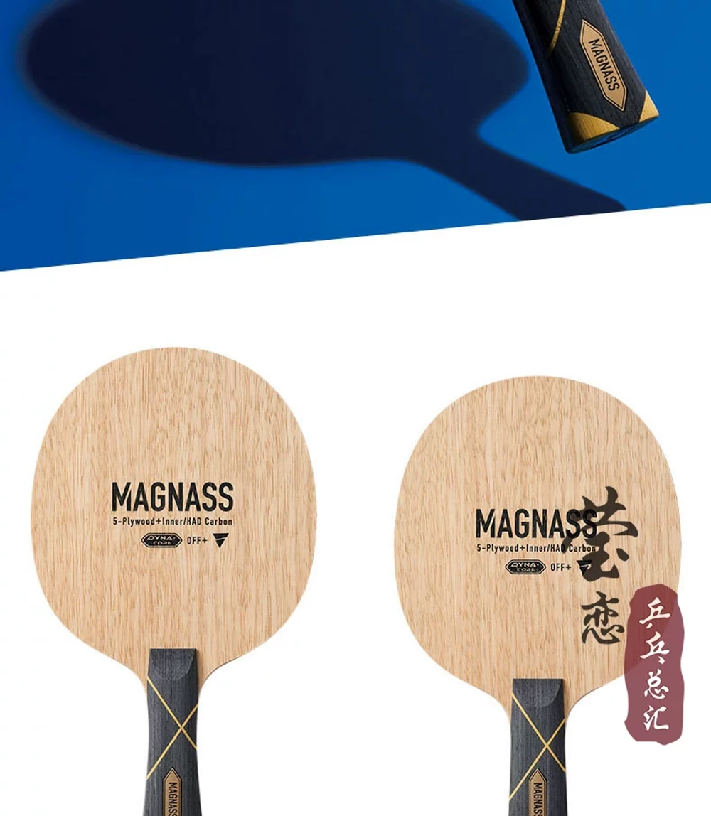 Victas MAGNASS