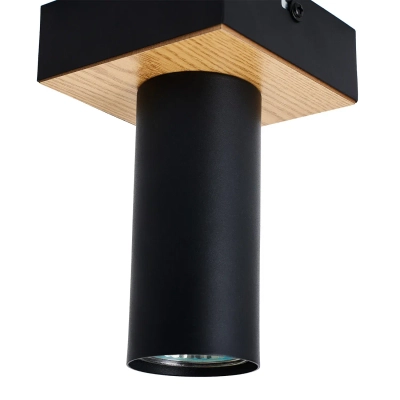 Потолочный светильник Olson 4431-1C, 1*GU10*50W. ТМ F-Promo