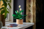 Конструктор LEGO Botanical Collection 11504 Peace Lily