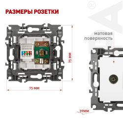 Розетка ЭРА Серия 12 12-3110-01М комбинированная RJ45+TV, белый матовый | Эра 12