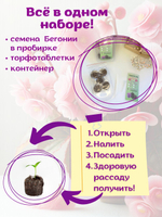 Семена Бархатцы низкорослые желтые махровые Марвел + торфяные таблетки Jiffy в подарок, 5шт