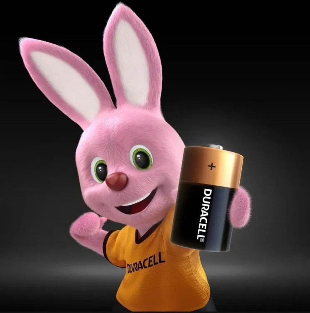 Алкалиновые Батарейки Duracell LR20(D) 2шт.