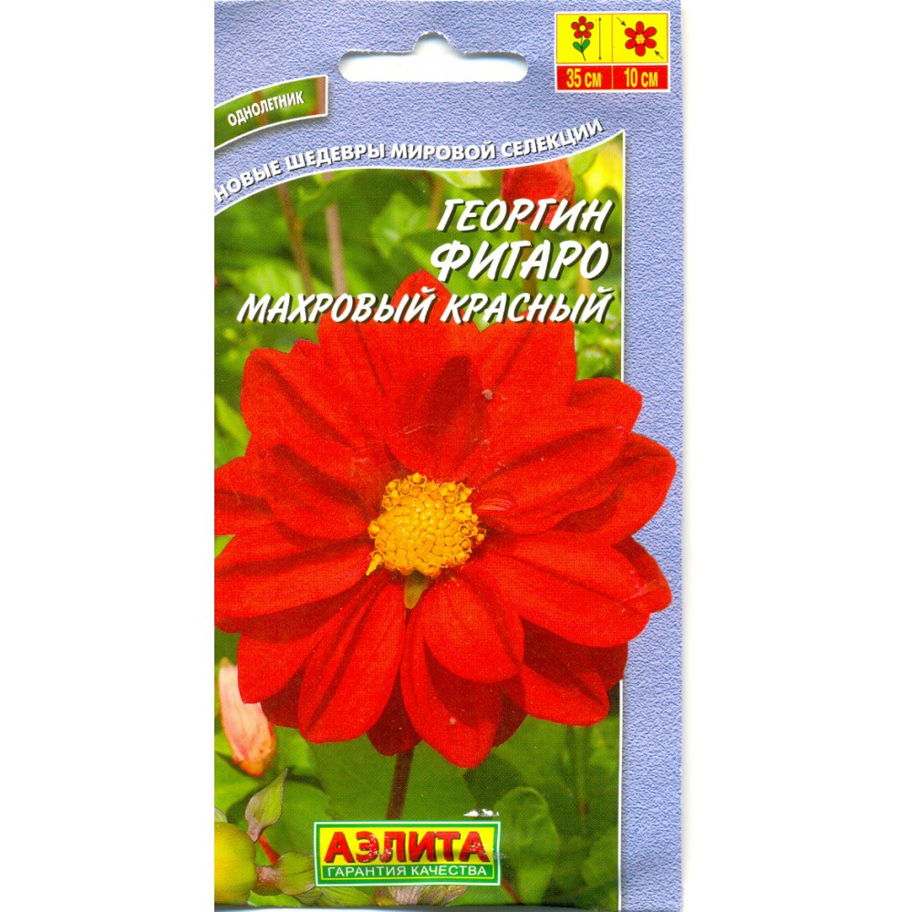 ра
