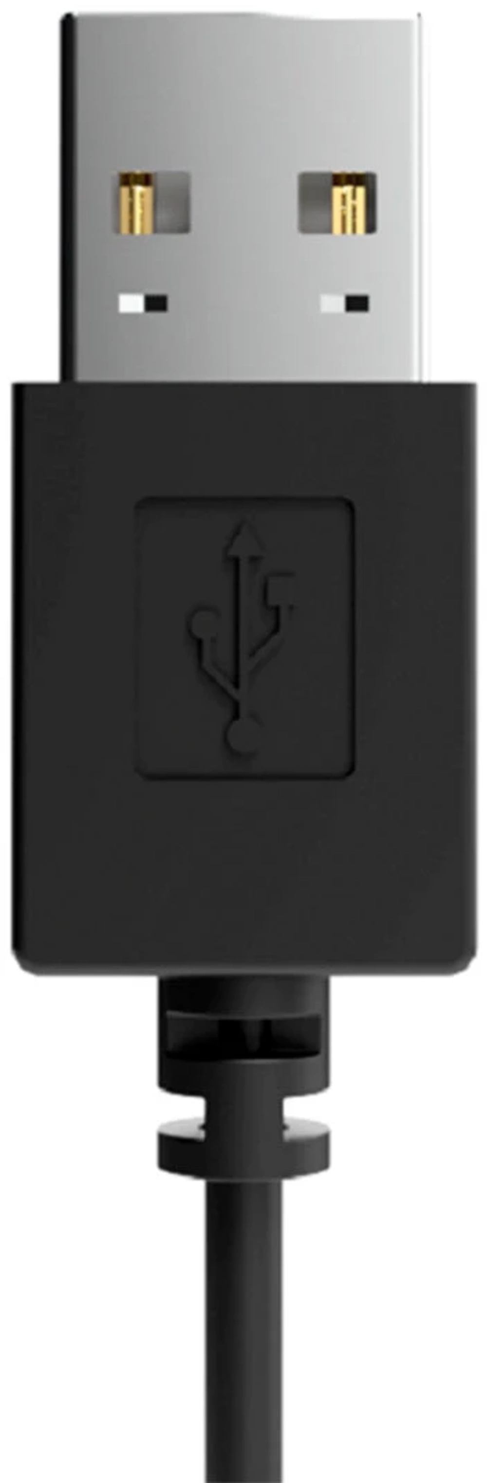 RITMIX RH-563USB Black — компьютерная USB-гарнитура